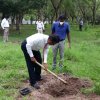 Tree Plantation at GA Bungalow